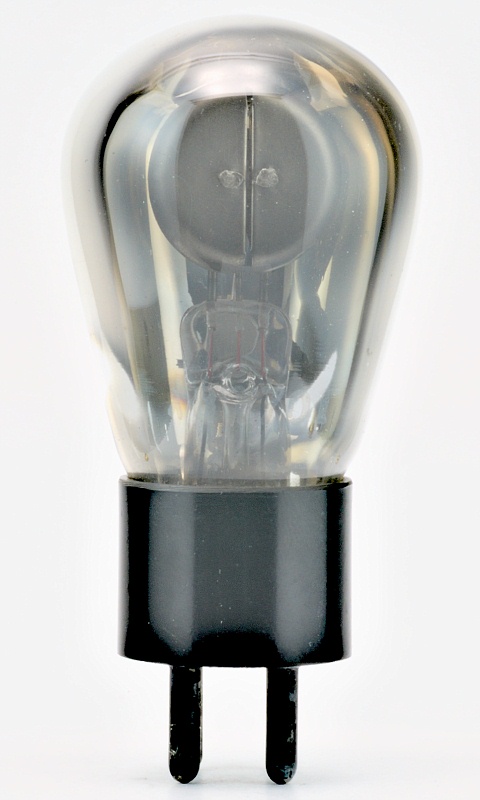Neon Glow Lamp X81701