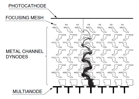 MAPMT electrode structure and electron trajectories