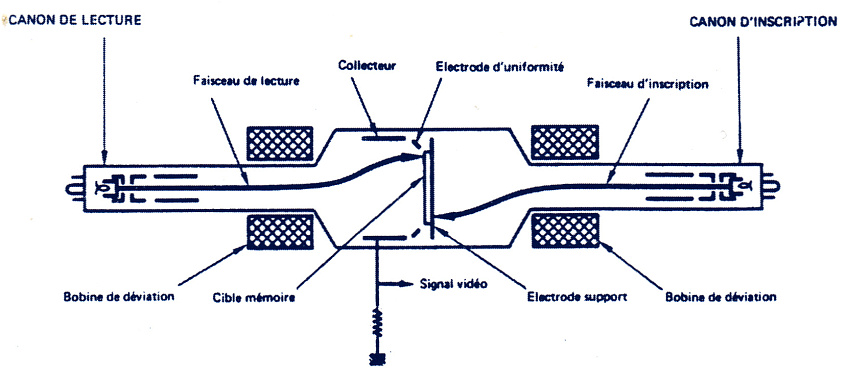 Tube  mmoire analyseur (TMA)