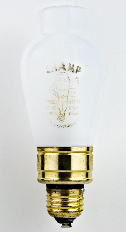 CHAMP Insect Bulb 60 W 120 V