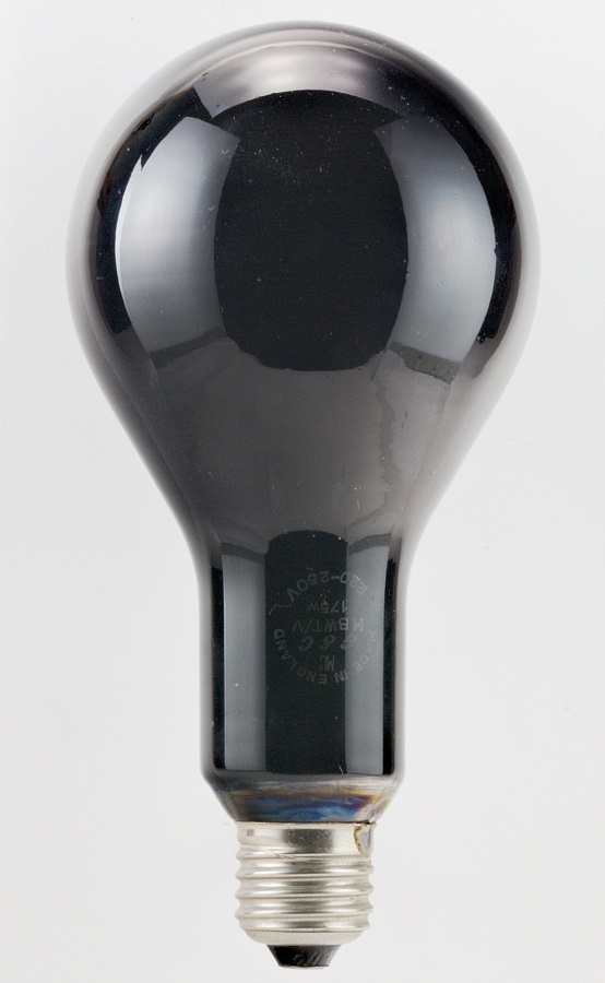 Ampoule UV LED noire E27 8W lampe UV ampoule noire lampe ultraviolette LED  po