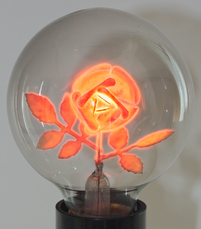 Figural Glow Light Bulb Flower 110V CHINA