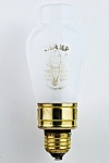 CHAMP Insect Bulb